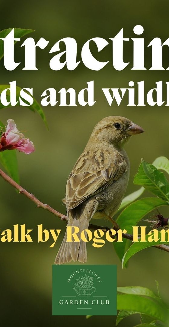 Attracting birds and wildlife - a talk by Roger Hance