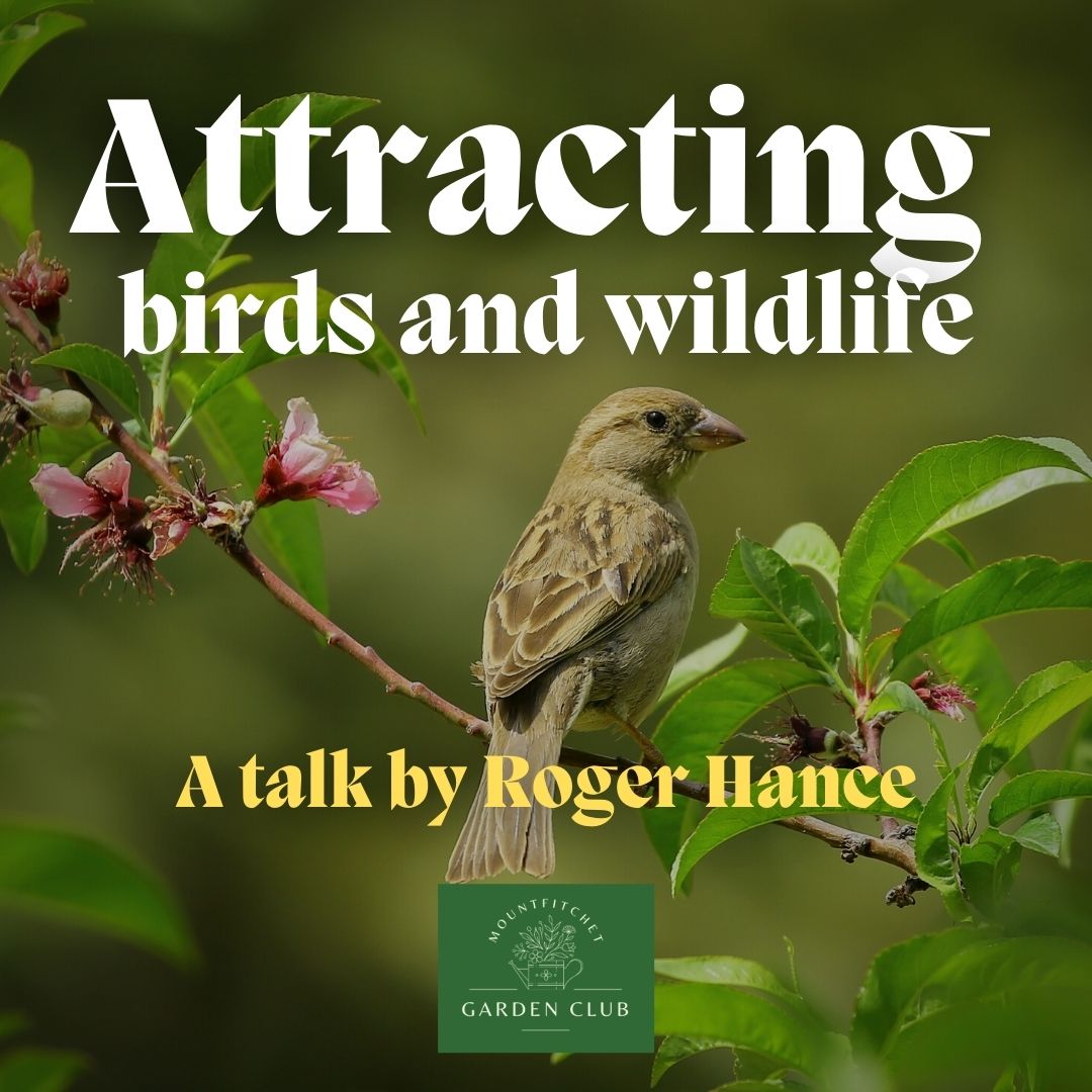 Attracting birds and wildlife – a talk by Roger Hance
