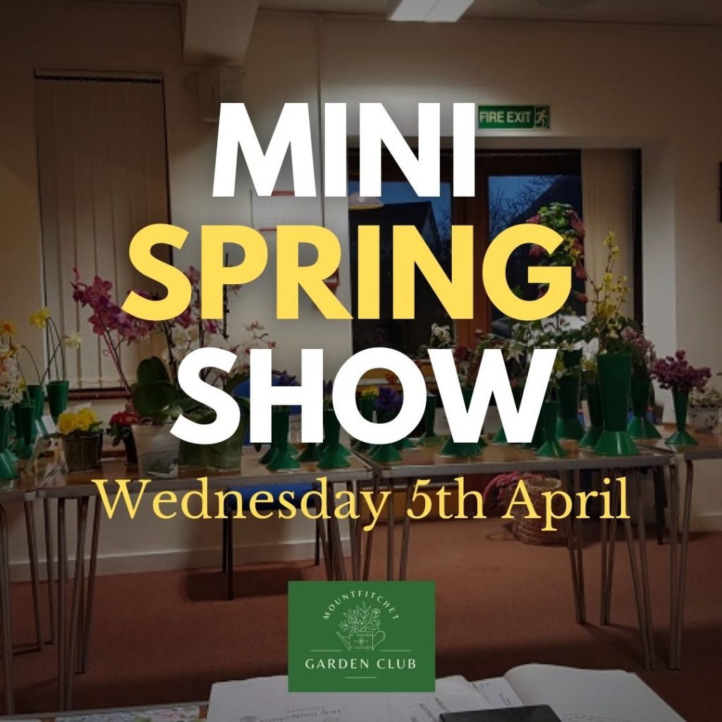 Mini Spring Show 2023