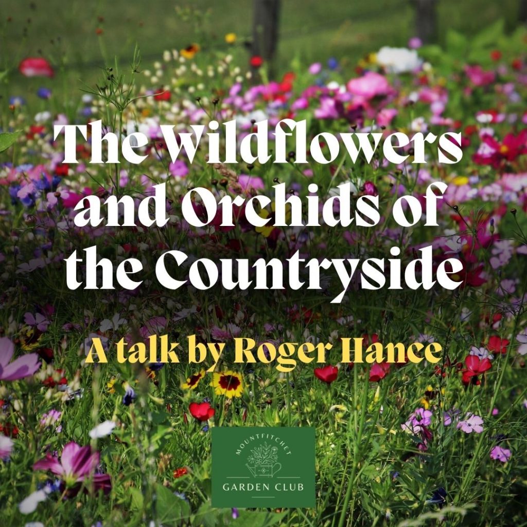 The Wildflowers and Orchids of the Countryside talk by Roger Hance