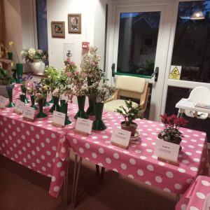 Table of spring flower displays from the Mountfitchet Garden Club Spring Show 2023